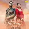 About Din Reh Jayenge Song